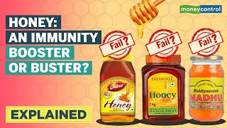 Honey Adulteration Scam Explained | Its Origins And What It Means For You