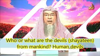 മനുഷ്യരിൽ നിന്നുള്ള പിശാചുക്കൾ (ശയാതീൻ) ആരാണ് അല്ലെങ്കിൽ എന്താണ്? മനുഷ്യ പിശാചുക്കൾ - അസിം അൽ ഹക്കീം