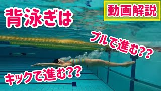 【動画解説】背泳ぎは腕メインに泳ぐ？足メインに泳ぐ？？