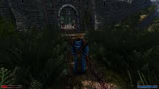 Gothic 2  Reakcja strażnika na wejście do miasta jako Mag Wody,Mag Ognia,Paladyn,Łowca Smoków