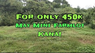 V#1024 | For Only 450k May Mini Farm ka na! | Morong Rizal