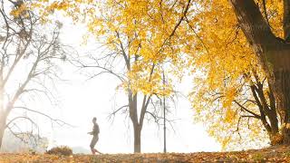 10.15.2019 Ukraine, Kiev VDNH A man runs in the autumn park. Beautiful yellow leaves on the trees