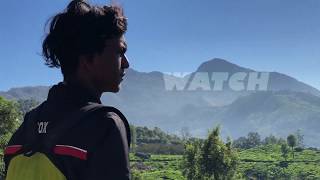 Munnar Kerala| മൂന്നാറിലെ വരയാടുകളെ തേടി| Waterfalls | Tea garden | Dam | Fog | Spice garden