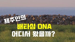 콘테나 '제주인의 배타심 DNA 어디서 왔을까?' [KBS 제주]