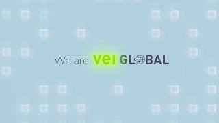 VEI Global - We Transform The Way You Do Business