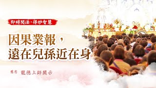 龍德上師：因果業報，遠在兒孫近在身