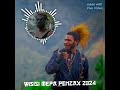 #wisisi viral terbaru mepa penzax 2024/2025#music