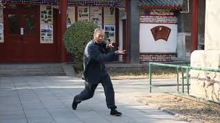 Qi style Tongbei quan(祁家通臂拳) , Wang Daming Demo.