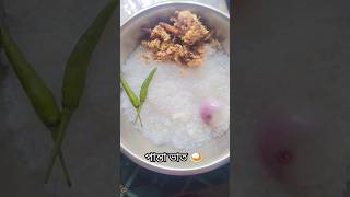 গরমে শুধু পান্তা ভাত লঙ্কা পিয়াজ হলে হলো🤤👌 #foryou #favorite #pantavat #viral #status