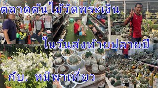 ตลาดต้นไม้พระเงิน ในวันส่งท้ายปลายปี