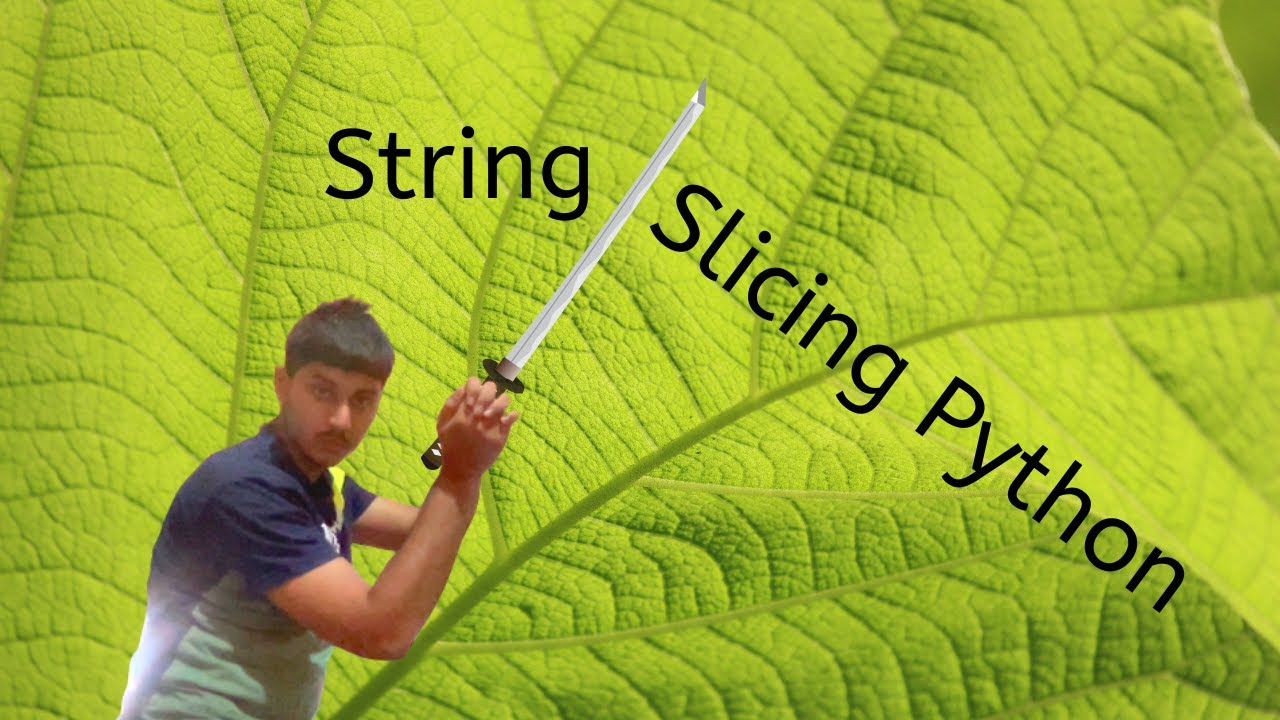 String Slicing In Python For Beginners | Advance Python Topic With Ease ...