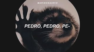la canción de pedro || PEDRO - Raffaella Carrà, Jaxomy, Agatino Romero (Remix) [sub. español]