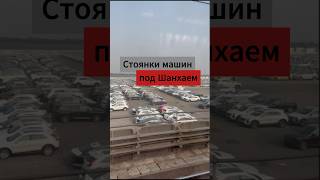 Под Шанхаем большие стоянки новых машин! Крупнейший контейнерный порт мира🔥#autoexpert123