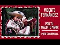 vicente fernández puro cachanilla cover audio