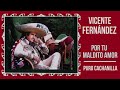 vicente fernández puro cachanilla cover audio