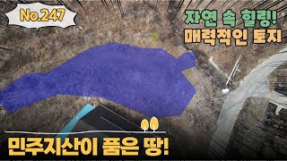 매물번호 247번. 민주지산, 자연 속 힐링 매력적인 토지(4,600만원)!