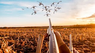 HUNTING EARLY SEASON GEESE UP NORTH... CANADA BOUND!