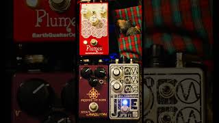 Plumes by EQD Gain Staging Short #3 with the Jive and Prince of Tone