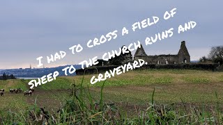 Saunderscourt graveyard and ruins#death #graveyard #cemetery #history