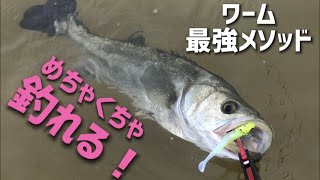 【シーバス実釣】ワーム最強メソッドを大公開！２つの技で爆釣の世界へ行ってらっしゃい！