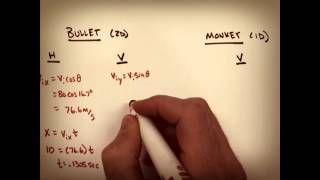 The Monkey Hunter Physics Problem