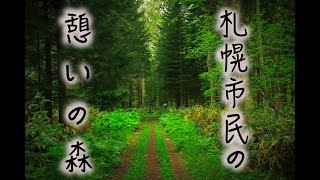 【森林散歩】野幌森林公園