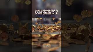 分叉币挑战主流？BCH是否能超越BTC市值 #加密货币投资人 #分析师 #Bitcoin Cash #BCH #Bitcoin #BTC #市值 #比特币设计