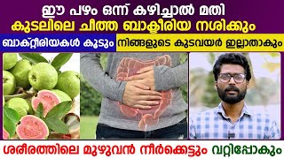 കുടലിലെ ചീത്ത ബാക്ടീരിയ നശിക്കാൻ ഈ പഴം കഴിച്ചാൽ മതി | ibs malayalam | Dr Vishnu Sathish