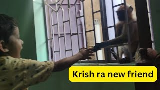 ମାଙ୍କଡ ଆଜି Krish ହାତରୁ ଖାଇଲା କଦଳୀ ଆଉ ବିସ୍କୁଟ//Krish ଆଜି ଭାରି ଖୁସି😂😂