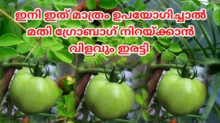 ഇത് മാത്രം മതി ഇനി ഗ്രോബാഗ് നിറയ്ക്കാൻ ചെടികൾ തഴച് വളരും 👍#youtube #youtubeshorts #trendingreel