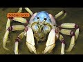 what is an arthropod teach your kids about this curious group of animals