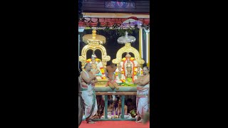 காஞ்சி ஸ்ரீ வரதராஜப்பெருமாள் கோயில் தெப்போற்சவம் 2025 | Kanchi Sri Varadharaja Perumal Theppotsavam