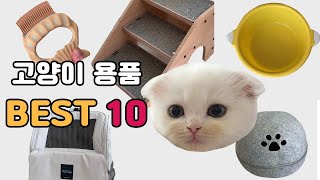 고양이 용품 추천 😺 7년동안 직접 사용한 10가지! 추천해요