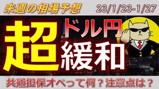 【ドル円最新予想】日銀緩和継続でなぜドル円急落？ドル円は上昇トレンド開始！？簡単解説！来週の為替相場予想と投資戦略！PCE・CPI・PMI・共通担保オペ・ミシガン大に注目！(23/1/23週)【FX】