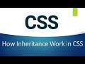 How Inheritance Works In CSS | CSS Inheritance | CSS Tutorials | Frontend Tutorials |