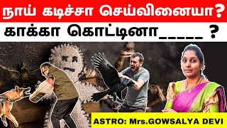 நாய் கடித்தால் செய்வினையா காக்கா கொட்டினால்______? | prasannamastrology | Astro Gowsalya Devi