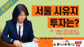 서울 내 시유지 알아보기 -1부-