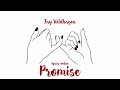 Promise ~ Fay Wildhagen / Lyrics video