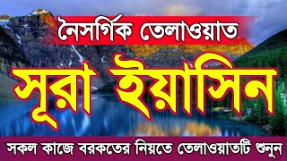 অত্যন্ত সুমধুর কন্ঠে সূরা ইয়াসিন তেলাওয়াত | surah yasin | surah yaseen | সূরা ইয়াসীন | yasin