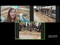 virtual farm tour to a michigan dairy for grades 6 12 10 15 20