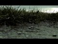 Nils Ohrmann - Dé Le Départ (Arms & Legs 08)