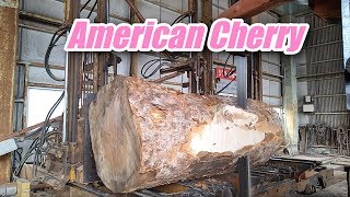 American Cherry