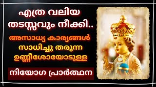 എത്ര നടക്കാത്ത കാര്യവും സാധിച്ചു കിട്ടുവാൻ ഉണ്ണീശോയോടുള്ള നിയോഗ പ്രാർത്ഥന/Infant Jesus/Prayer