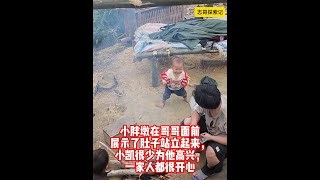 小胖墩在哥哥面前展示了肚子站立起来，小凯很少为他高兴