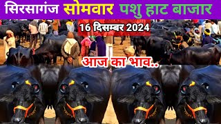 उत्तर प्रदेश सिरसागंज पशु मंडी |Uttar Pradesh Sirsaganj Pashu Mandi | 16 De.2024 | सोमवार पशु बाजार