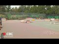 Vancouver skate park's survival depends on community engagement