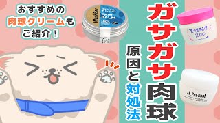 【犬の肉球ケア】乾燥の原因・おすすめの肉球クリームは？