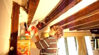 Wood worm killer  Handyman Tips  DIY