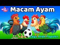 Lagu Anak ♥️ Macam-Macam Ayam - Kepala Pundak - Si Ayam Lucu