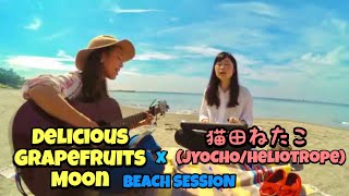 はまさきちえ\u0026猫田ねたこ - Prism【Beach session】